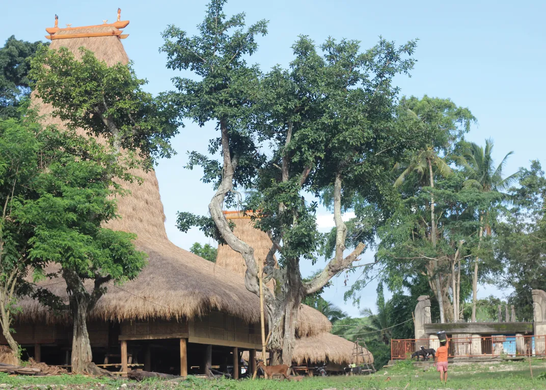 A view of a tall thatched roof and a building surrounded by trees