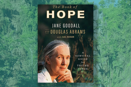 book of hope.png