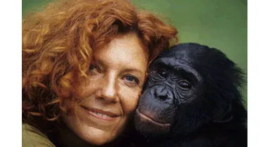 Claudine Andre, founder of Lola Ya Bonobo (Bonobo Paradise) sanctuary, rescues about ten of the endangered animals per year.