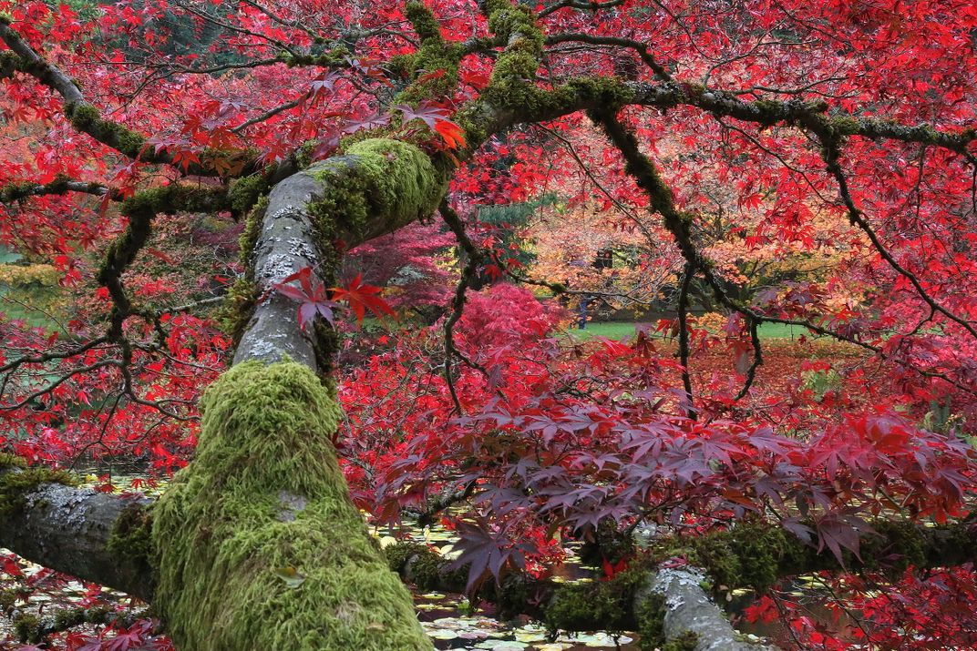 Fall Colors | Smithsonian Photo Contest | Smithsonian Magazine