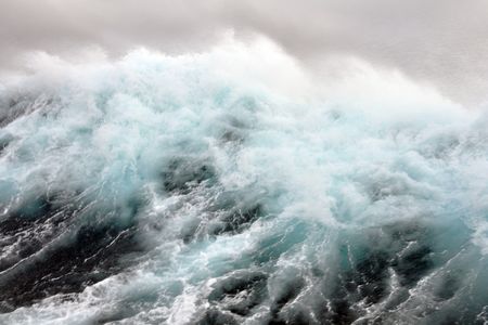 Surf's WAY up.