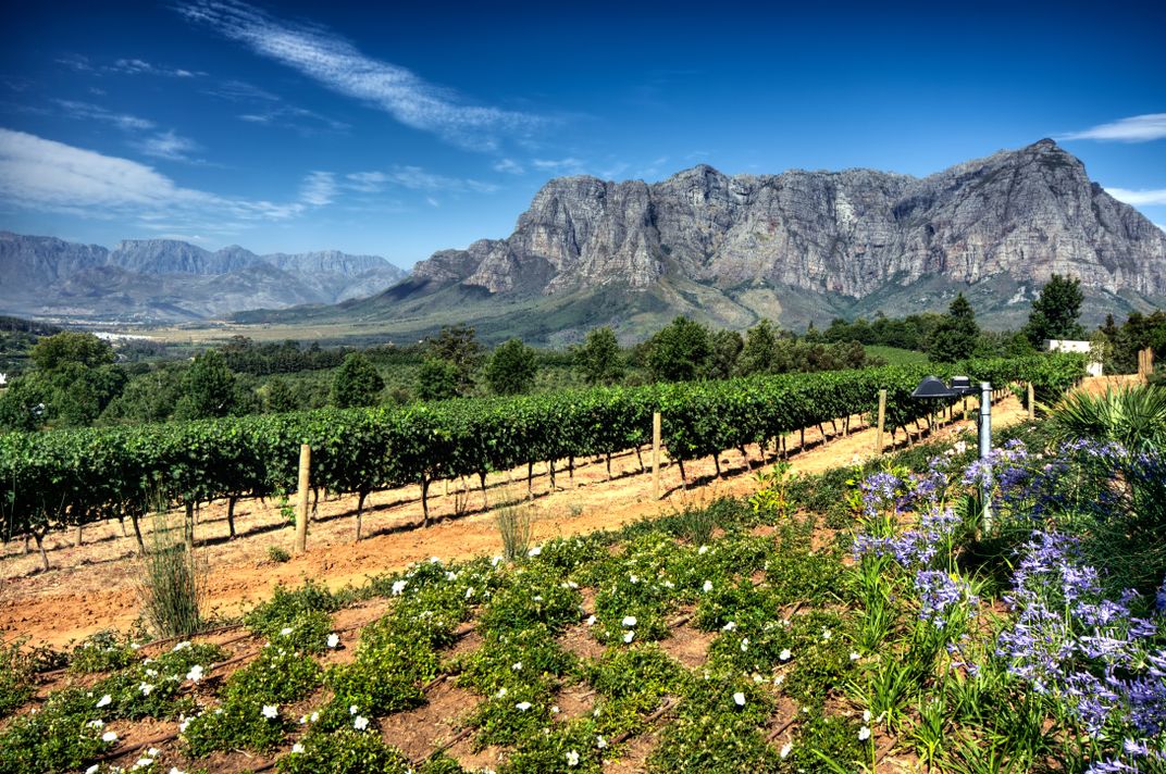 Stellenbosch wine district
