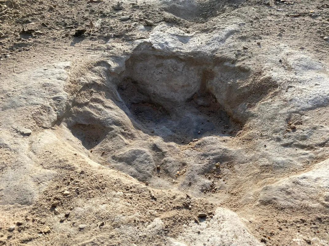 A three-toed dinosaur track in dry ground