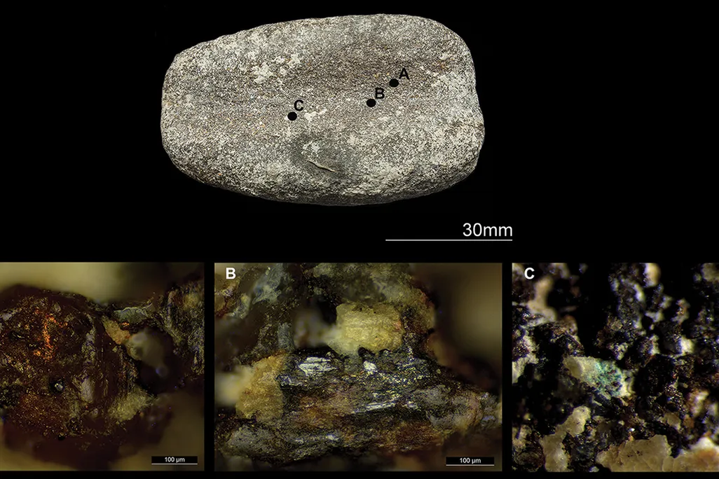 Microwear traces on a Bronze Age tool used for smoothing or polishing