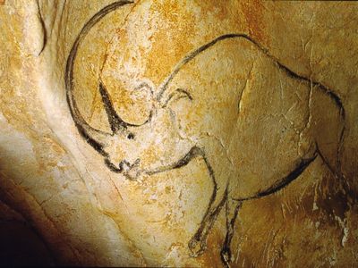A woolly rhinoceros painted by a prehistoric artist on the wall of Chauvet cave in France