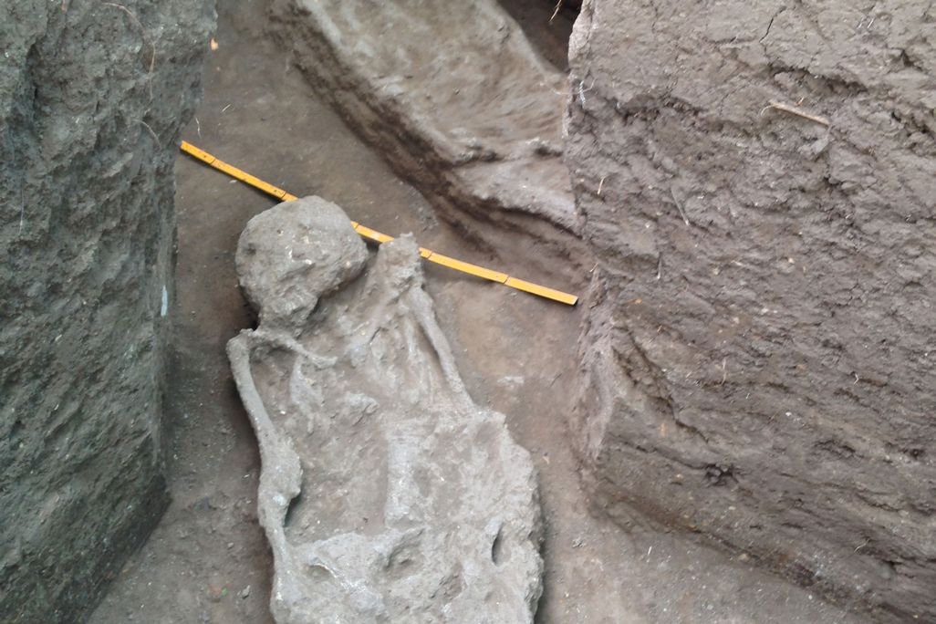 Amazon Burial Remains