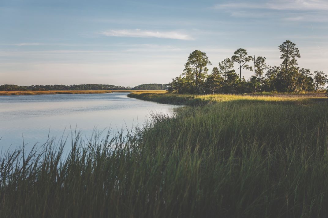 Discover a Perfect Paradox in the South Carolina Lowcountry