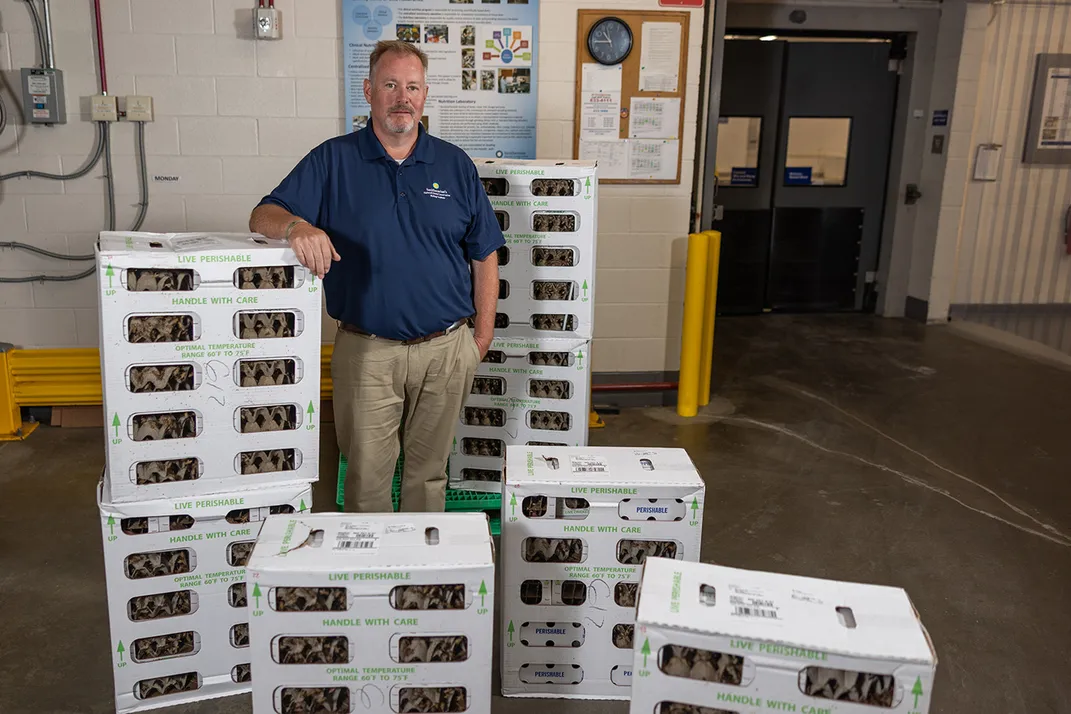 A man in a blue polo shirt poses in a large industrial setting surrounded by towers of stacked boxes filled with live feeder insects.