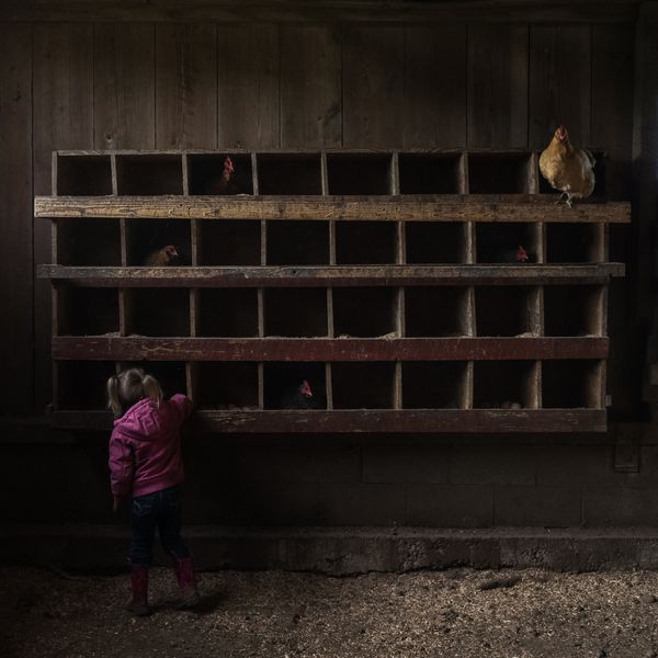 A young girl helps her grandmother gather eggs at their farm on Whidbey Island, Washington. 3 Sisters Farm has been owned and operated within the same family for over 100 years, specializing in all natural beef, pork, lamb & chickens. This independent work of this little girl documents the legacy of this farm and how it is lovingly passed from one generation to the next.