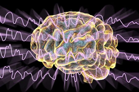 By reading brain waves, researchers found support for the idea that dying people may see their life flashing before their eyes or have out-of-body experiences.
