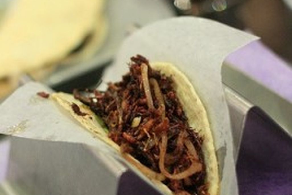 20110520090139grasshopper-taco-by-stgermh-267x400.jpg