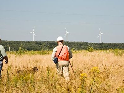 Dr. Edward Arnett (in the orange vest), a scientist with Bat Conservation International and his bat-finding labrador retriever accompany plant manager Chris Long at the Casselman Wind Power Project in Pennsylvania.