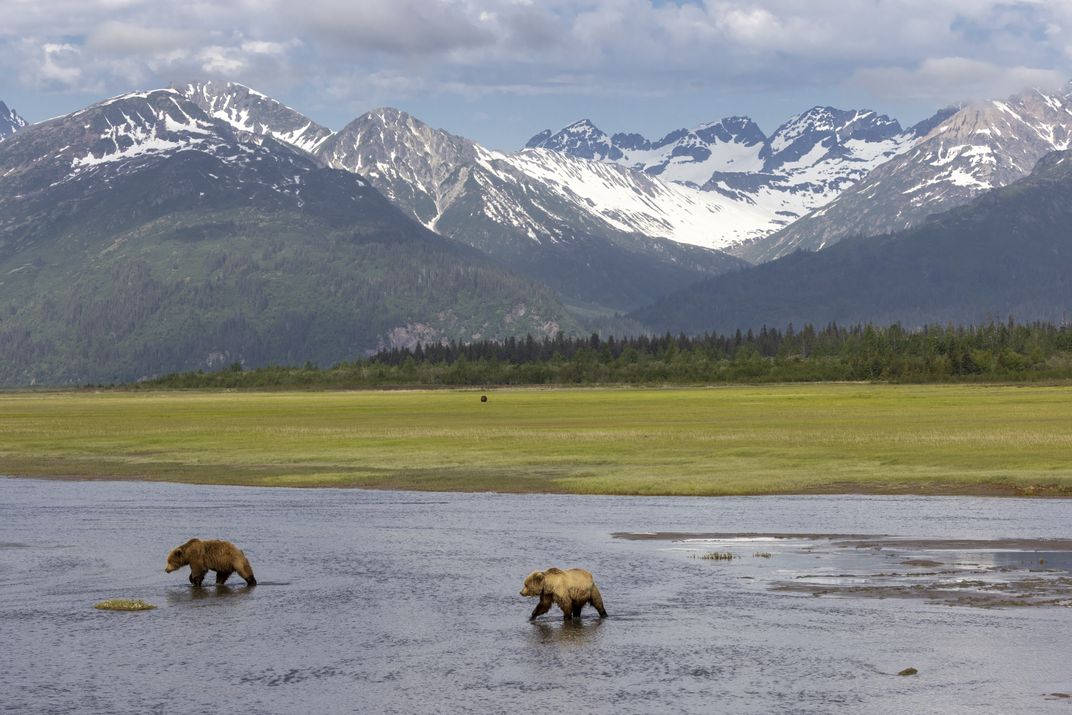 Getting Up Close to the Bears of Alaska's Lake Clark National Park