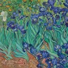 Vincent van Gogh's Brilliant Blue 'Irises' Were Originally Purple, New Research Reveals icon