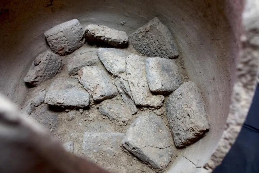 Mardaman Tablets