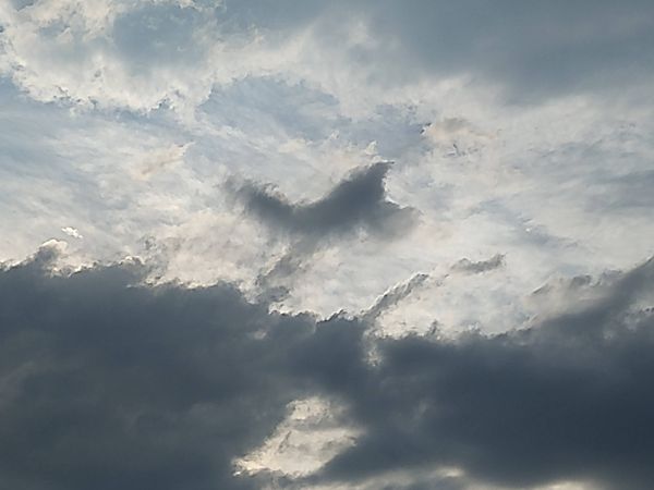 A cloud emerging like a Phoenix thumbnail