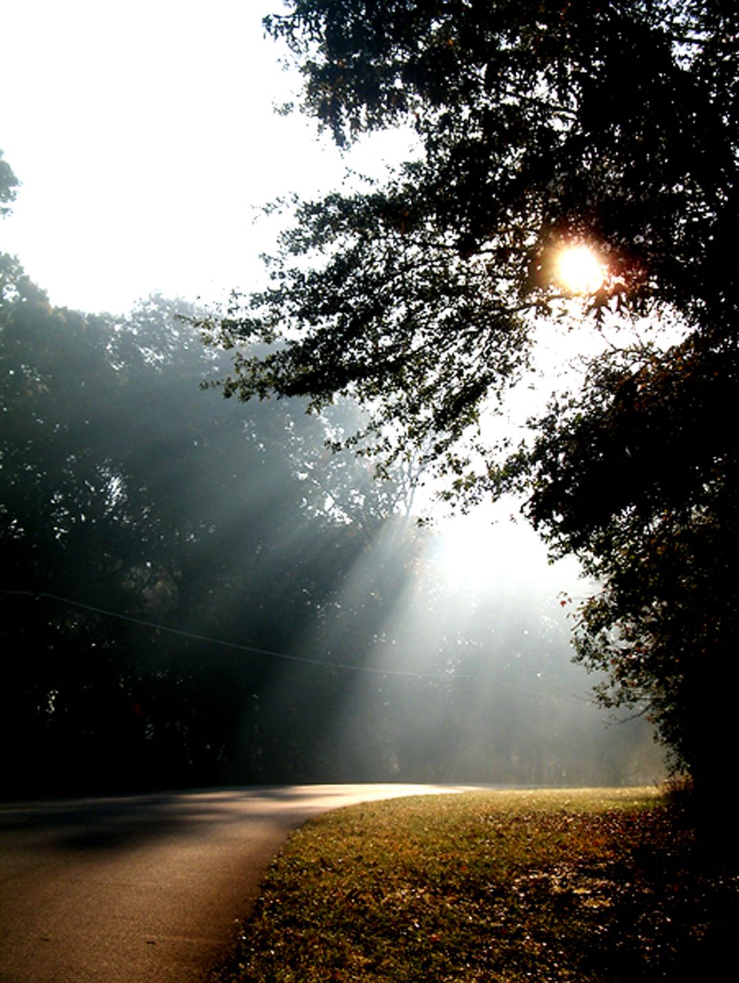 Mysterious sun rays | Smithsonian Photo Contest | Smithsonian Magazine