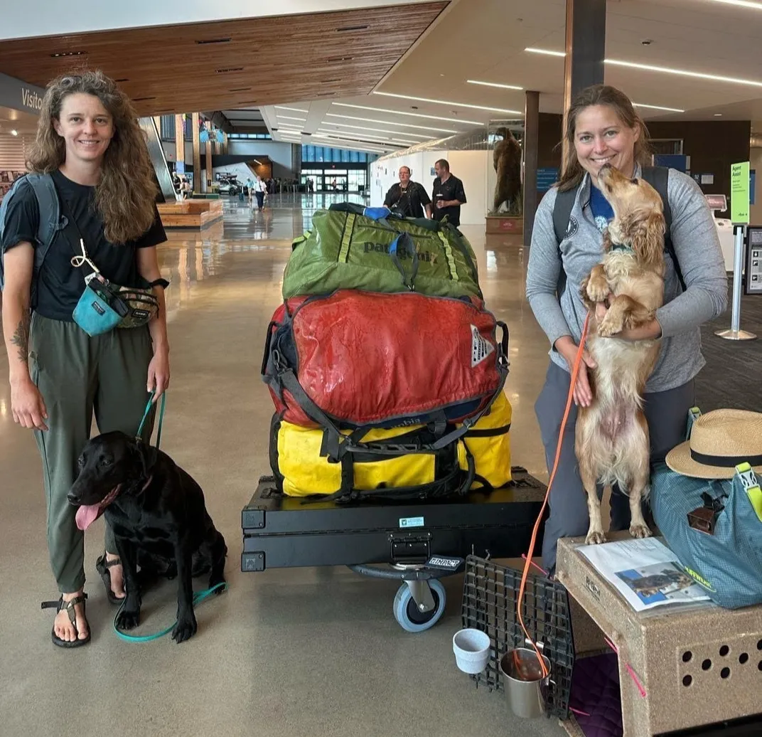 Two women with two dogs and lots of luggage at an airport