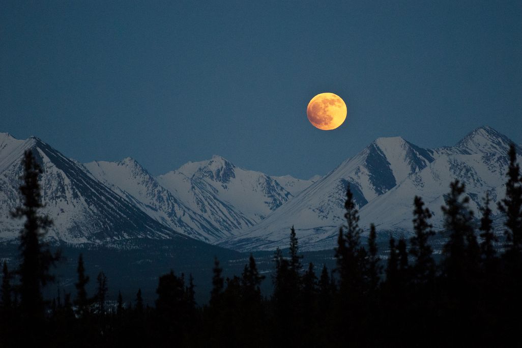a full moon appears orange over mountains and conifer trees