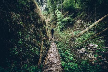 Every so often, people get utterly lost, so lost that they scramble their brains along with their bearings. 