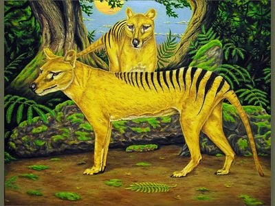 Thylacines were dog-like, carnivorous marsupials.