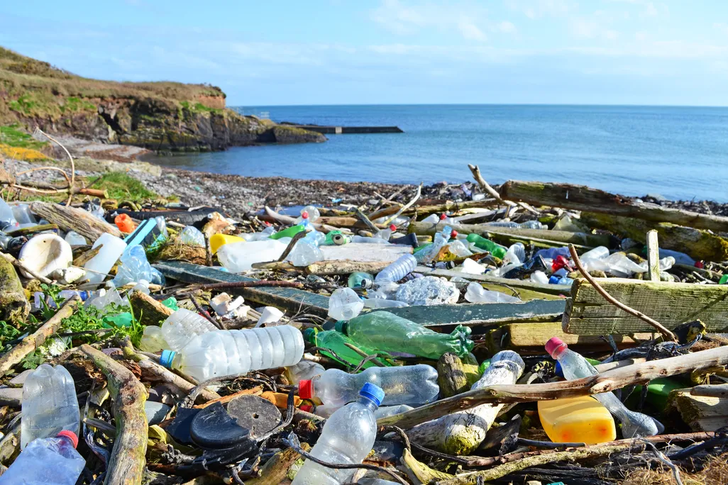 plastic trash including bottles on a beach with the ocean in the background