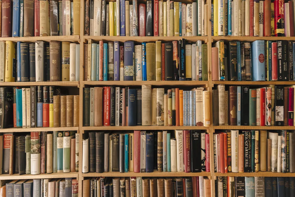 Shelves of books
