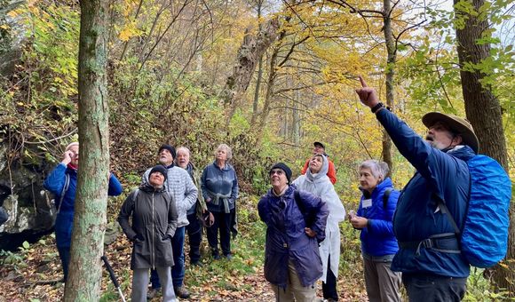 A group of hikers surrounded by trees on a trail look up as a tour leader points something out