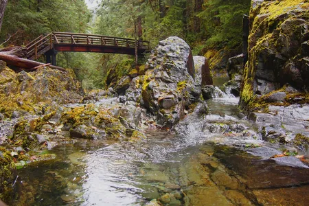 Foot bridge over Opal Creek, Oregon