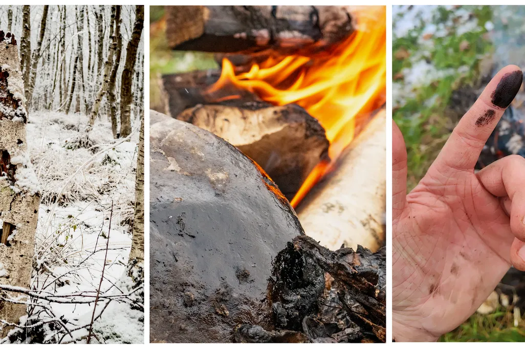 A triptych showing a birch tree, a fire and a person's hand with a black smudge on one finger