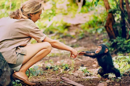 “Becoming Jane: The Evolution of Dr. Jane Goodall” is a multimedia exhibition charting the life and career of the world’s foremost expert on chimpanzees.