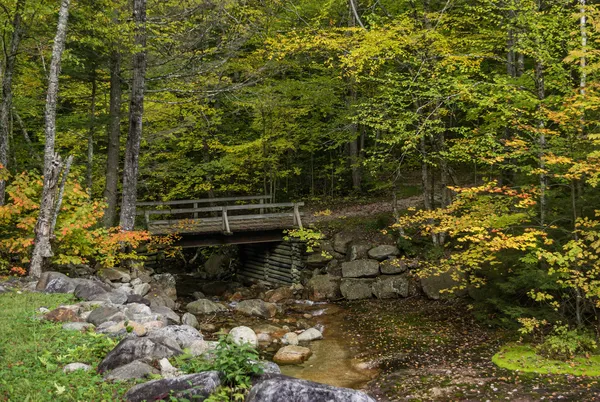 Footbridge, Flume Gorge thumbnail