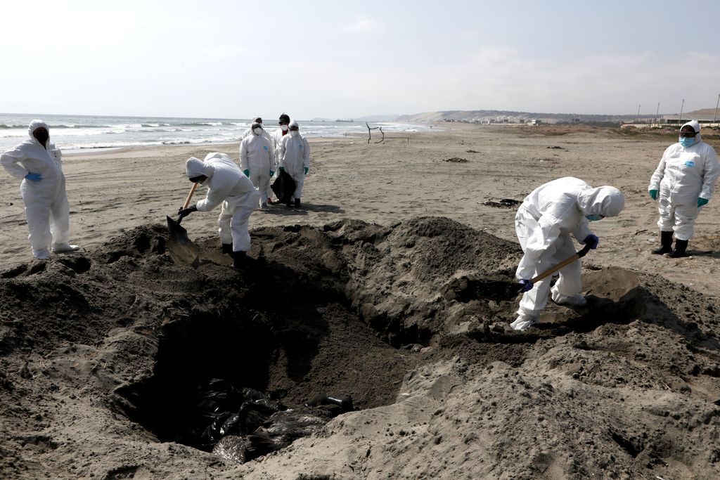 People in protective gear bury dead pelicans on a beach