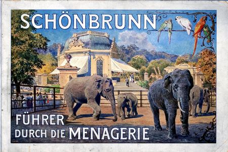 A poster for Schönbrunn Zoo. 