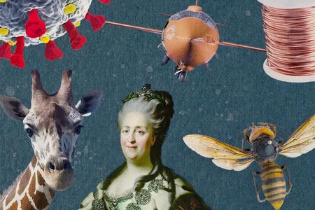 This year's top stories included an explainer on murder hornets, a list of fun facts about love and sex in the animal kingdom, and a look at the true history behind Hulu's "The Great."