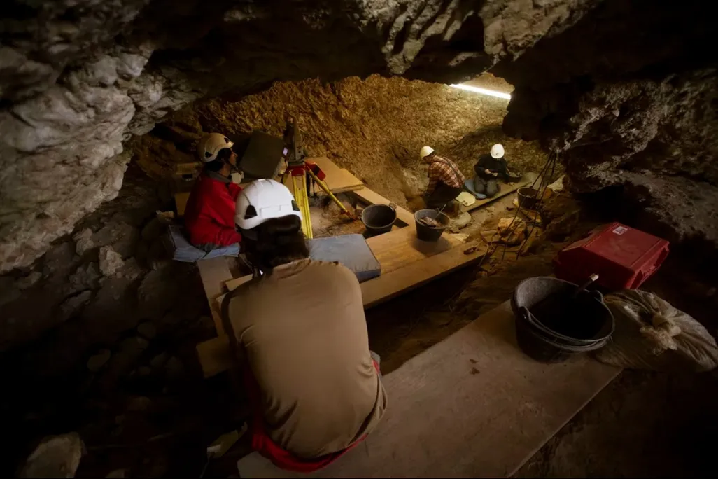 Archaeologists excavating the El Mirador cave site in northen Spain have found physical evidence of prehistoric cannibalism.