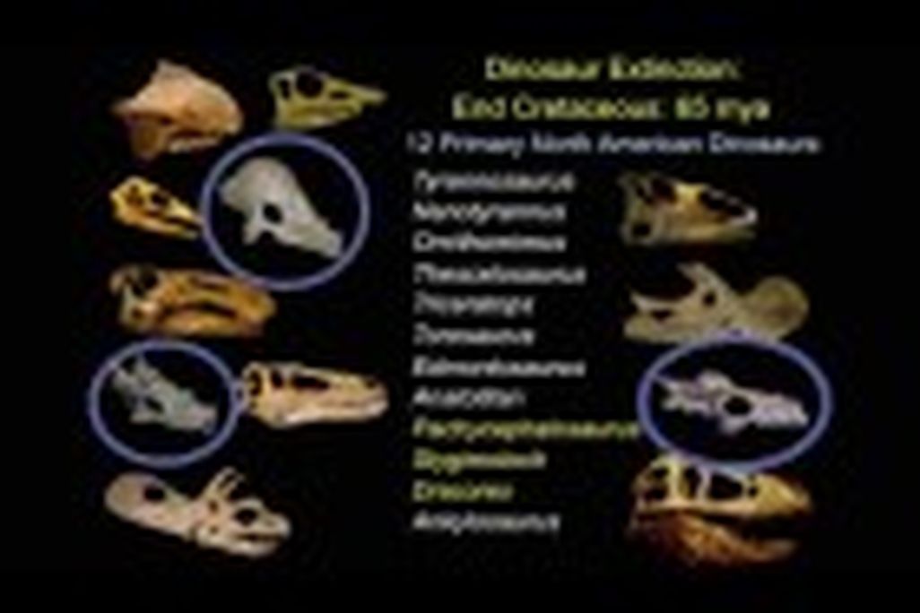 20110524101007horner-ted-talk-150x93.jpg