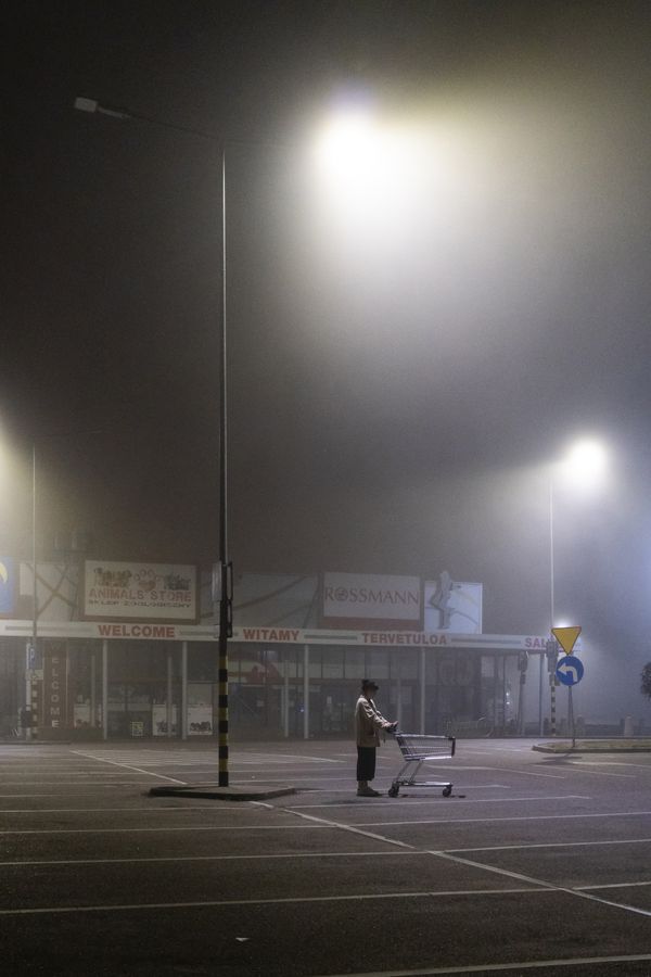 In the fog with a shopping cart thumbnail