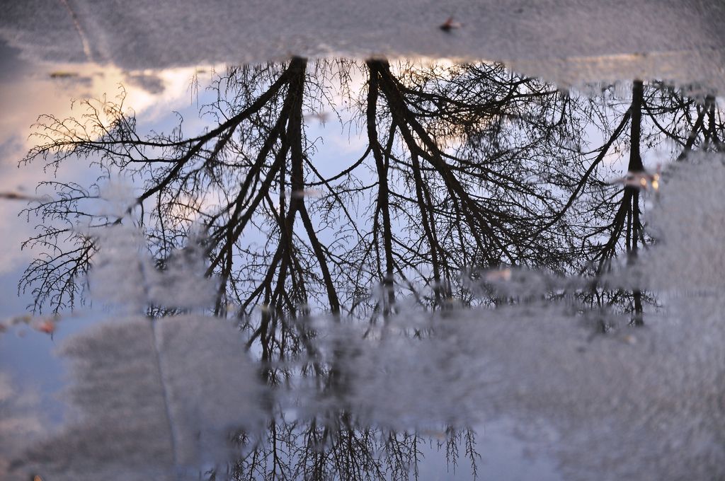 puddle