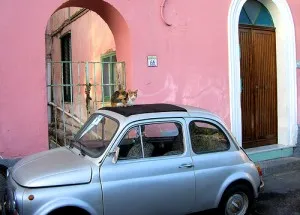 20110520102254carwithcat-300x215.jpg