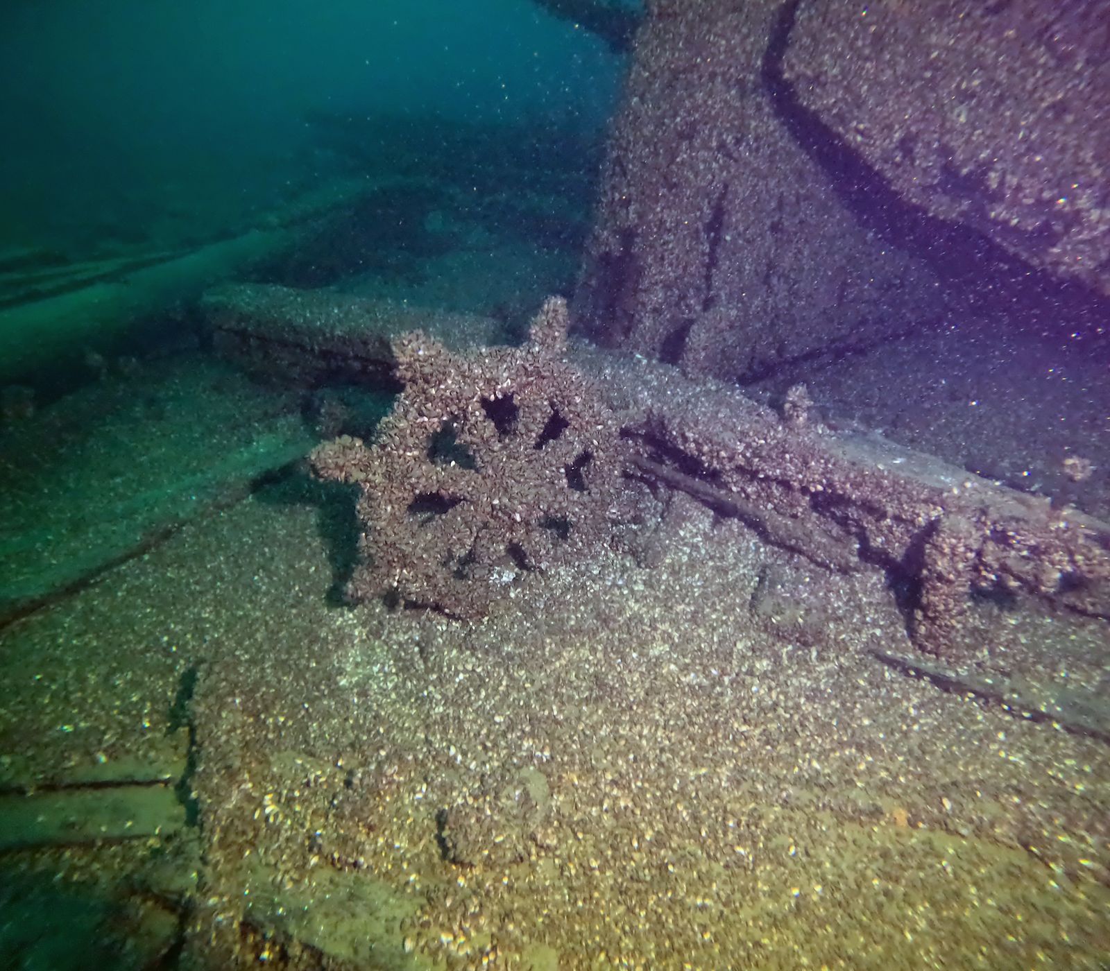 www.smithsonianmag.com