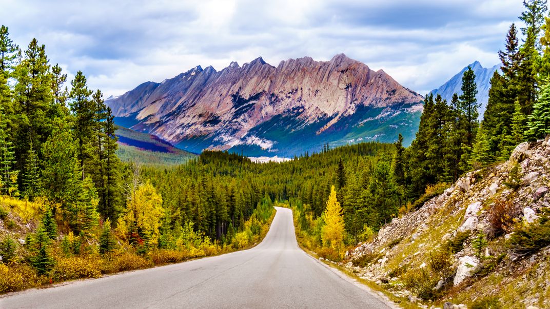View towards Jasper and the Colin Range, Jasper National Park