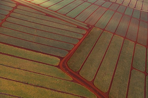 Iron-rich Farmland thumbnail