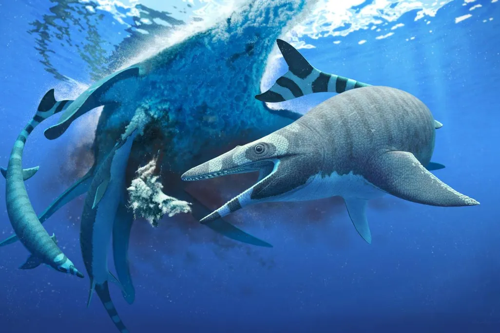 Xenodens calminechari 