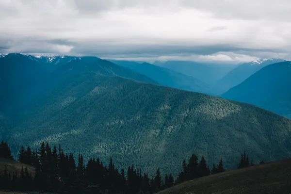 Spotlight on the Ridge thumbnail