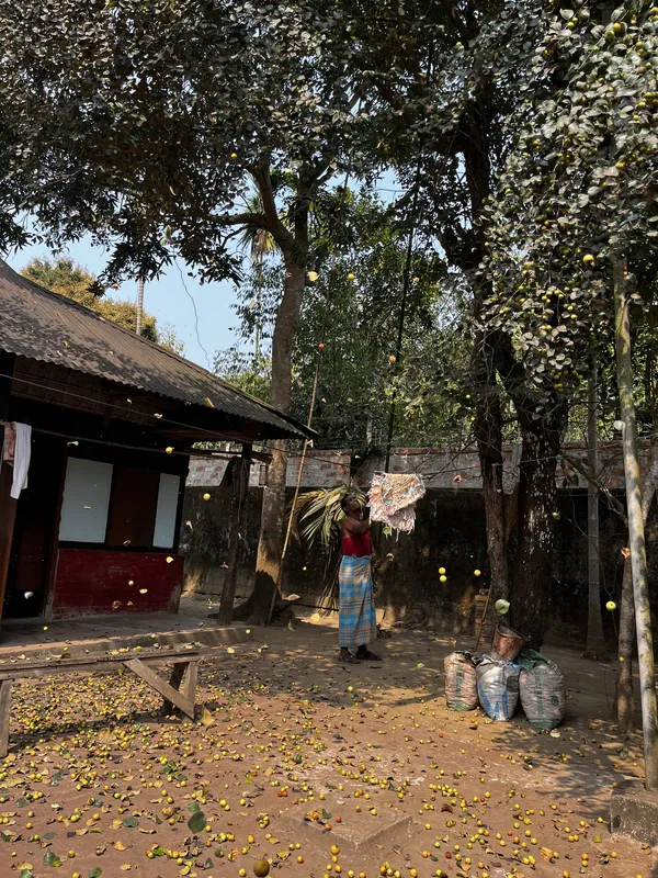 Boroi Season thumbnail