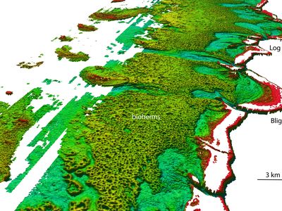 LiDAR imaging of the bioherms beyond the Great Barrier Reef, which is marked in red.