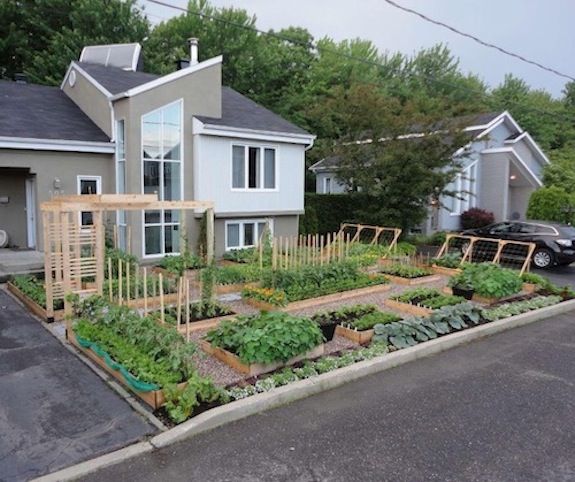 The offending garden in Drummondville