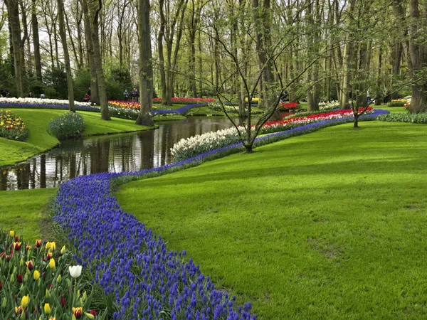 Archetypal view of Keuken Botanical Garden thumbnail