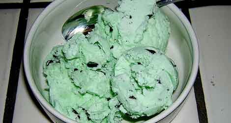 Mint chocolate chip ice cream